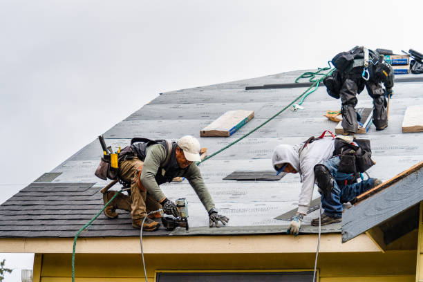 Professional Roofing technician working in Lexington, MI
